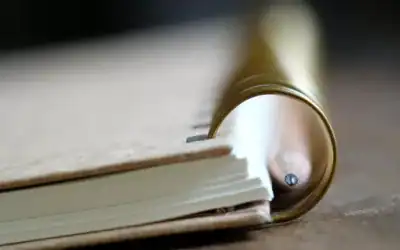 Les limites de l’intervention de l’avocat en matière pénale